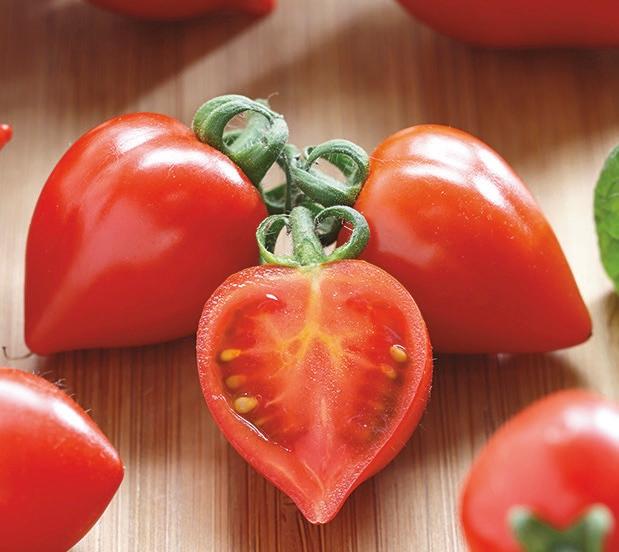 Heartbreakers Dora Red. (Courtesy of Totally Tomatoes)