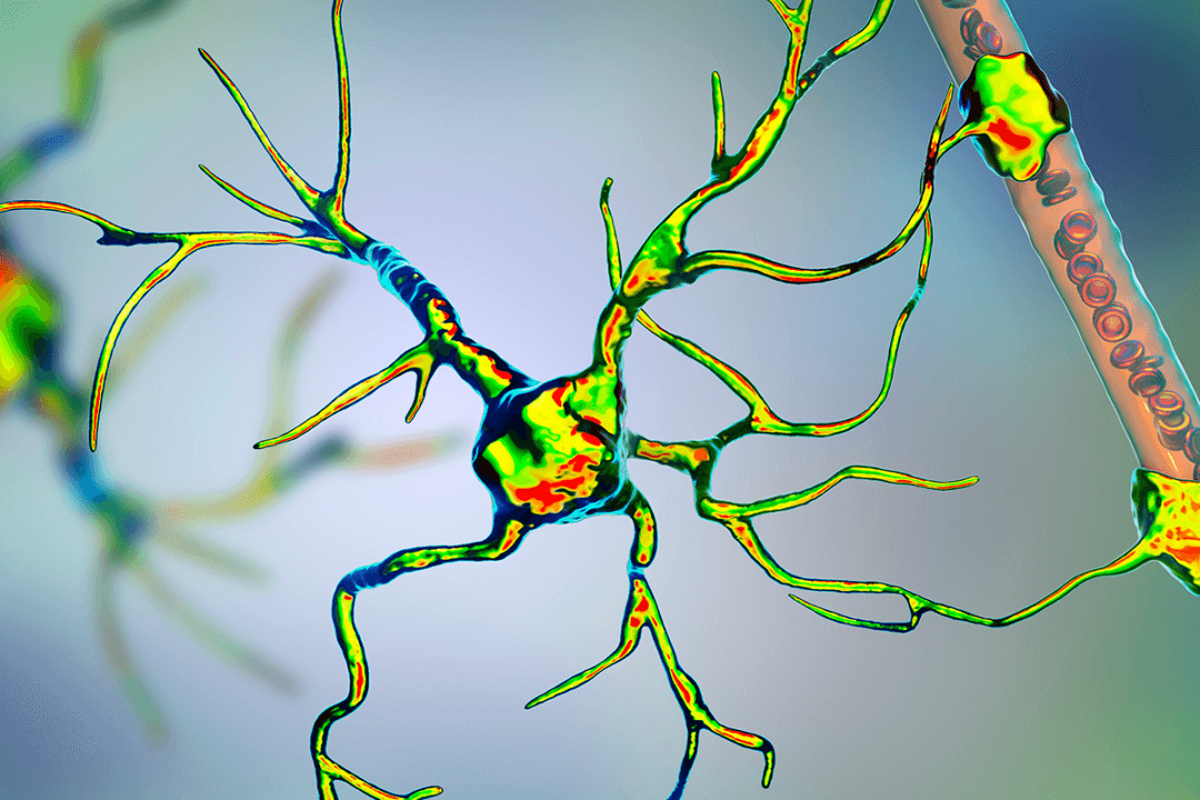 Pesticide Exposure Linked to Lou Gehrig’s Disease, Could Be Used to Predict Disease Risk