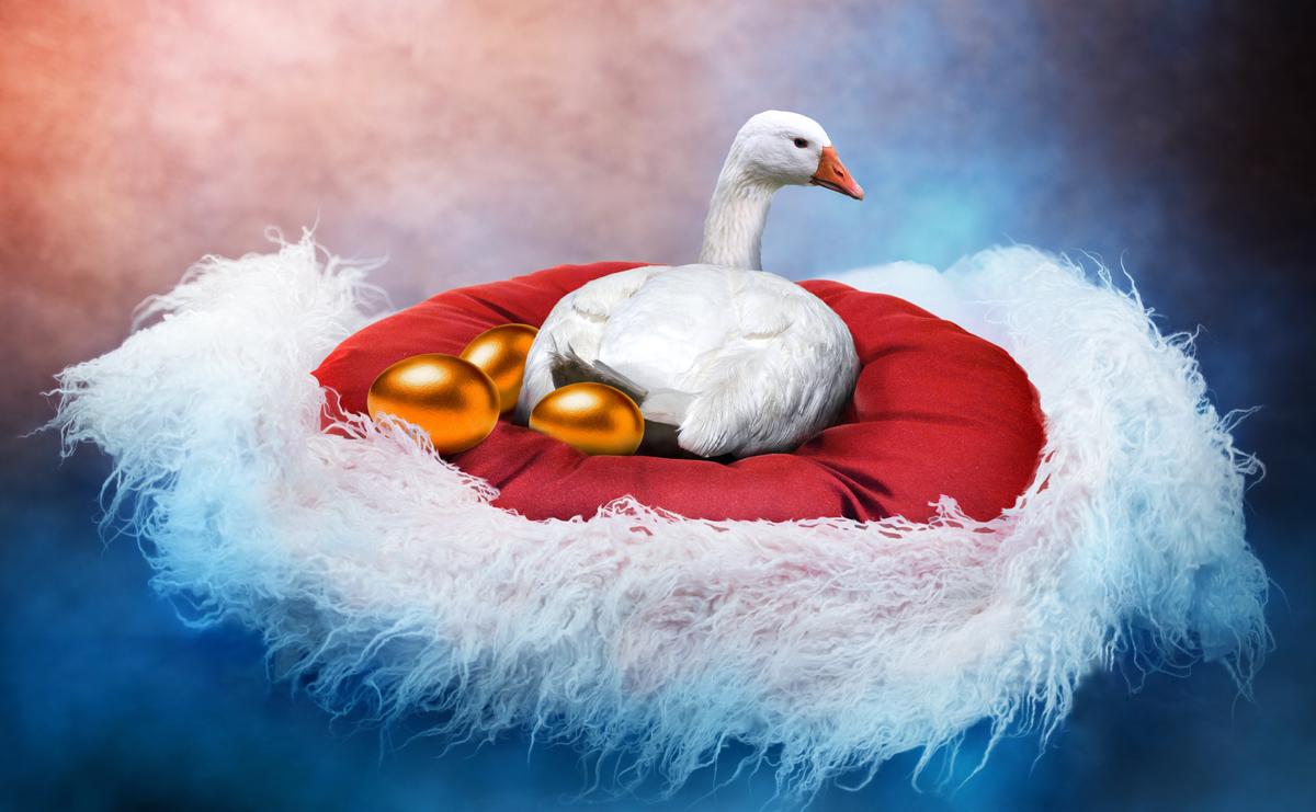 Calculate Your Potential Passive Income—A Simple Yet Powerful Method