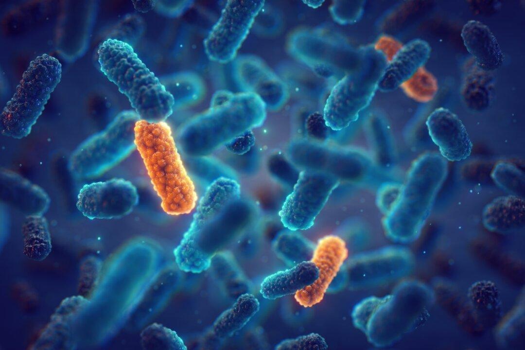 New Study Ties Lack of Micronutrients to Antibiotic Resistance