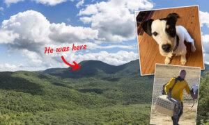 Loyal Dog Who Spent 10 Weeks Guarding Fallen Hiker’s Body Is Reunited With Family