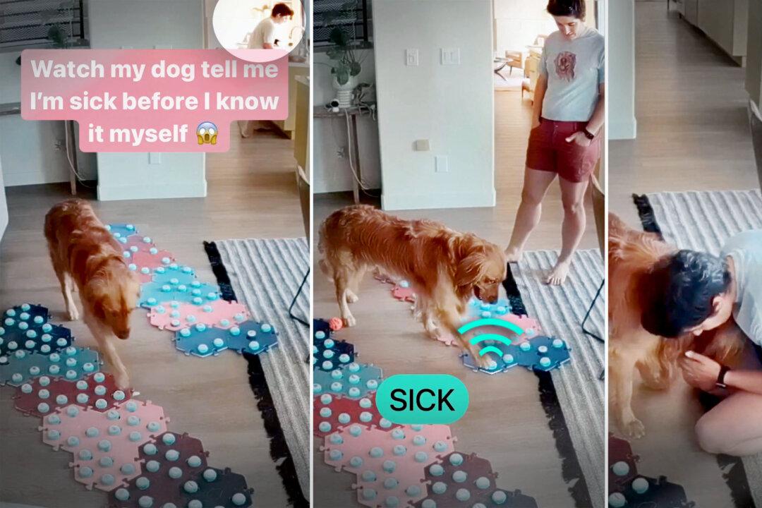 VIDEO: Dog Uses Verbal Sound Buttons to Alert Owner She Is Sick—Hours Before Her Symptoms Begin