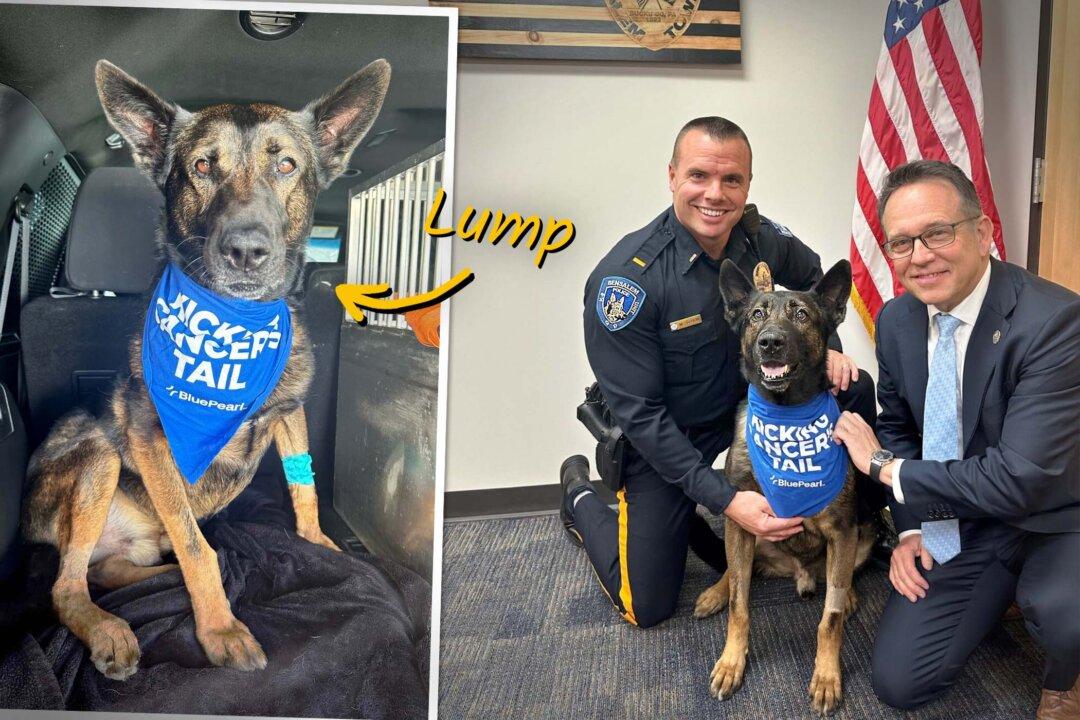 Police Spot Cancerous Tumor on Explosive Detection Dog's Jaw—Then a Few Friends Step up to Help
