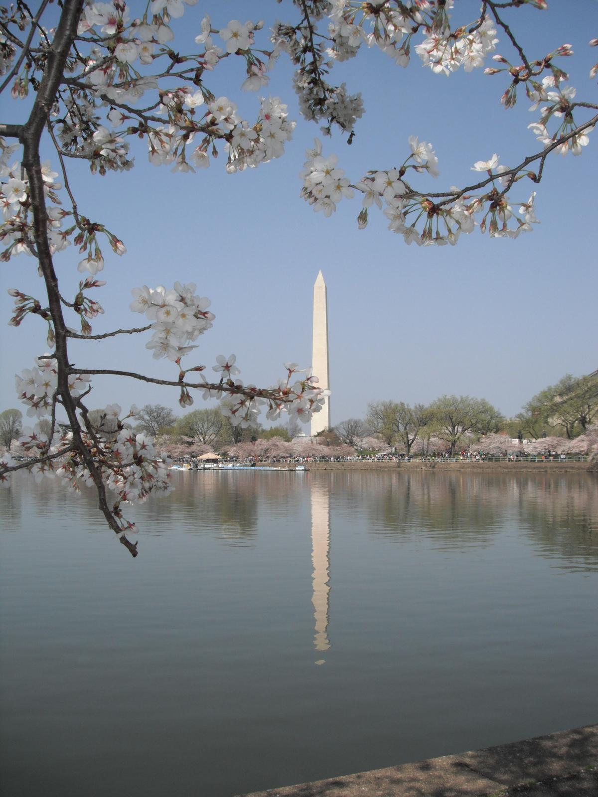 Washington Monuments: Honoring the Father of This Country