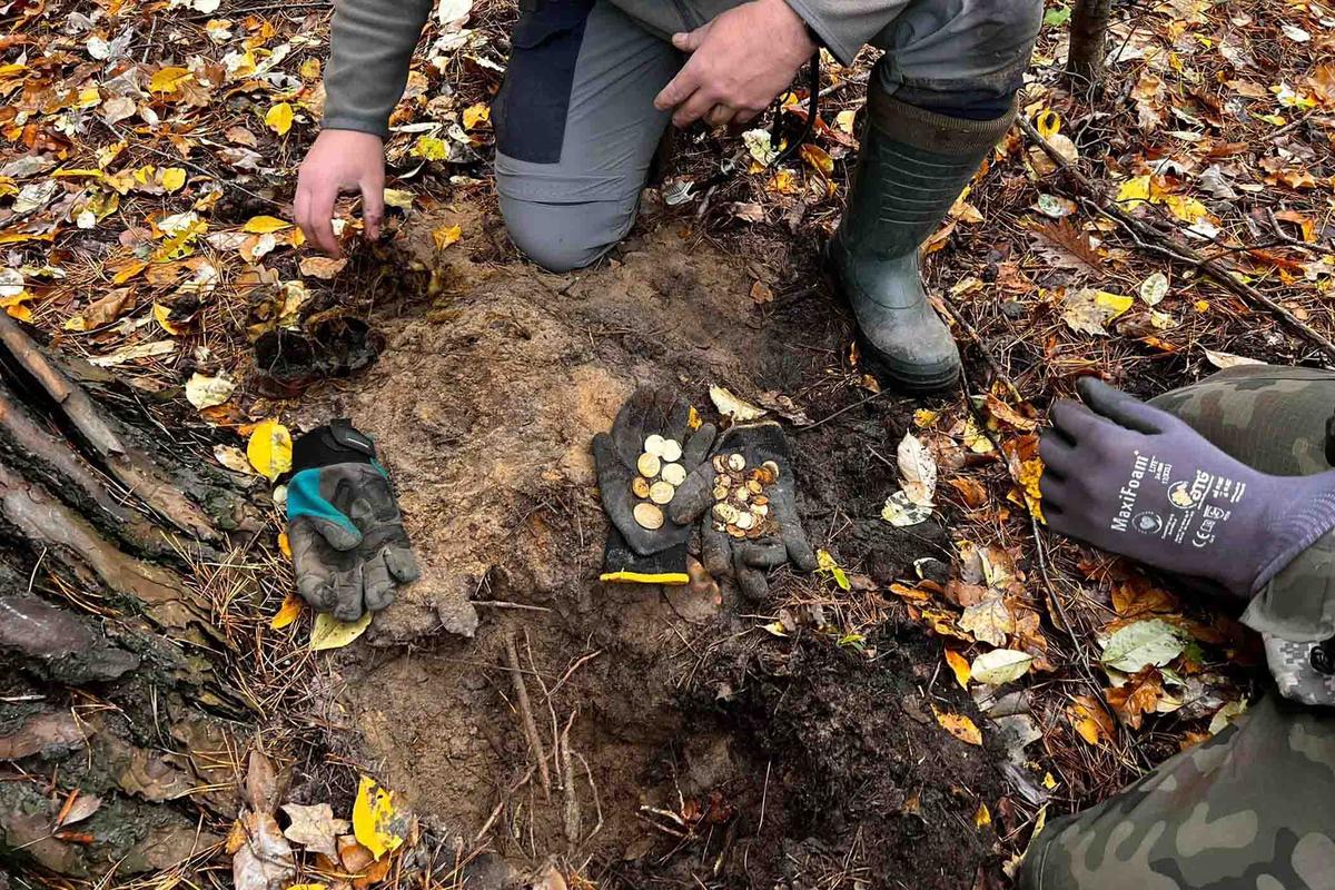 Detectorists from the Szczecin Exploration Group unearth a cache of World War II-era gold coins in the woods near Szczecin, Poland. (Courtesy of <a href="https://www.facebook.com/profile.php?id=100093311079911">Stowarzyszenie Szczecińska Grupa Eksploracyjna</a>)