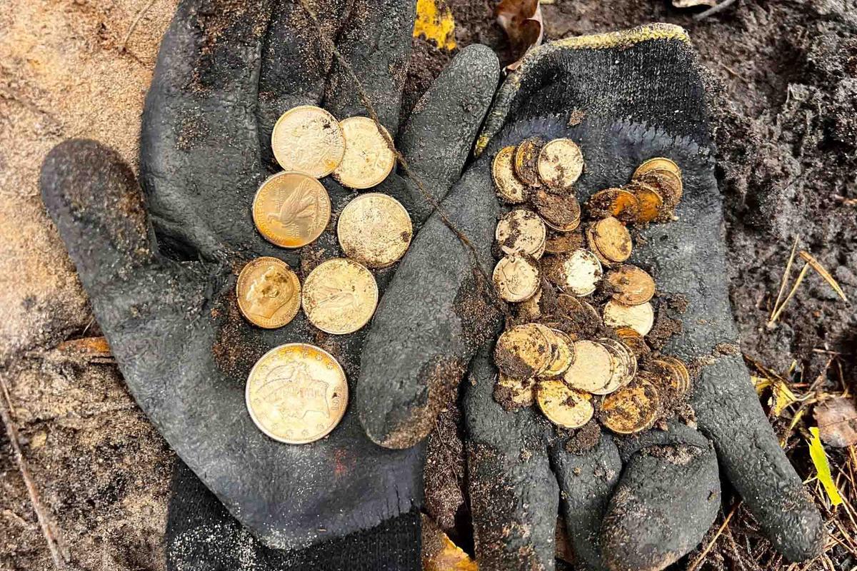 The gold coins found by detectorists near Szczecin, Poland, on Nov. 5, 2023. (Courtesy of <a href="https://www.facebook.com/profile.php?id=100093311079911">Stowarzyszenie Szczecińska Grupa Eksploracyjna</a>)