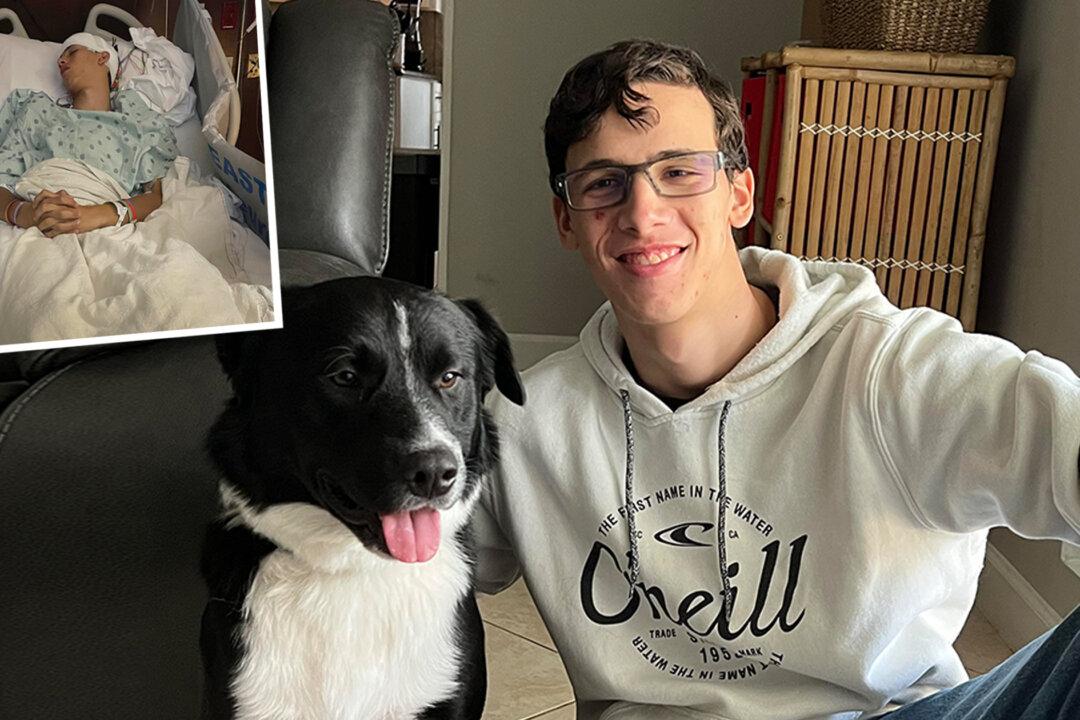 'God Had His Hand in Everything': Dog Rescues Boy From Unexpected Stroke by Alerting Parents