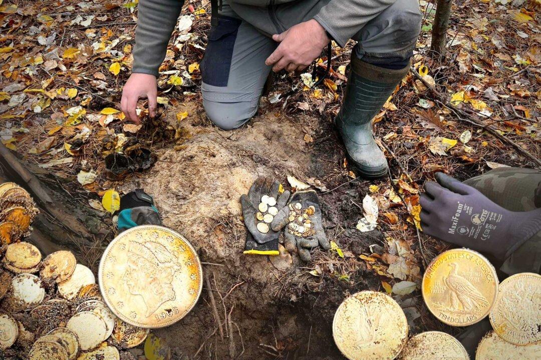 Metal Detectorists Scanning for War Relics in the Woods Stumble on Hoard of Gold Coins From WWII