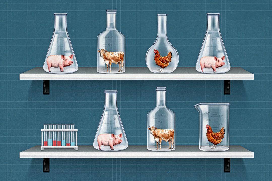 FDA-Approved, Controversial Lab-Grown Meat Becomes a Reality