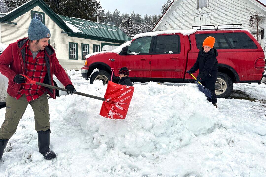 Heavy Snowfall Drops Tree Branches Onto Power Lines, Causing Outages in New England