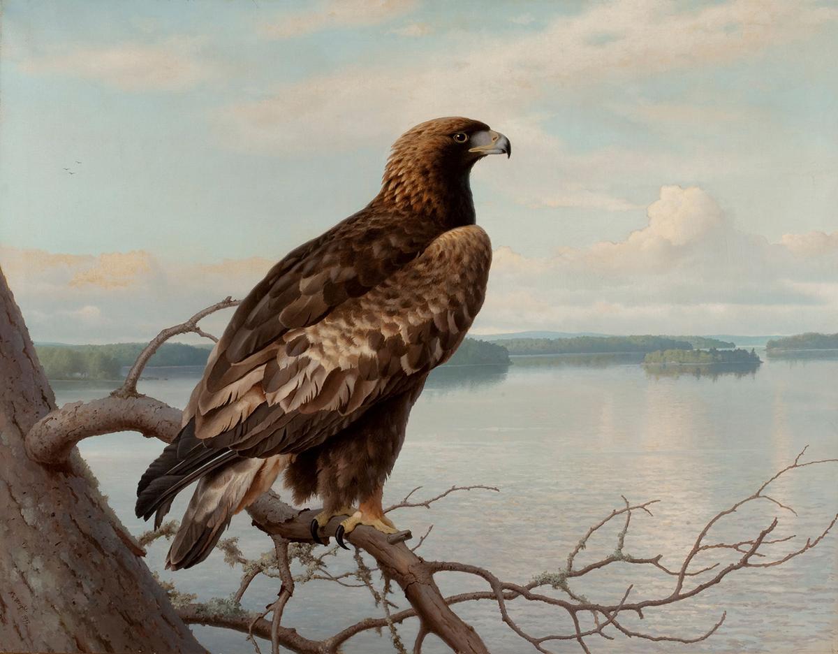 "Golden Eagle by a Lake," 1897, by Ferdinand von Wright. Oil on canvas. Finnish National Gallery. (Public Domain)