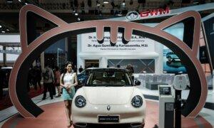 Nearly 1,700 Made-in-China EVs Recalled Over Programming Issue