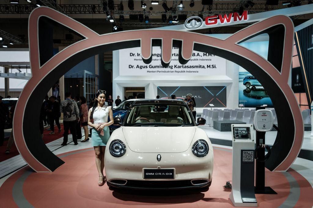 Nearly 1,700 Made-in-China EVs Recalled Over Programming Issue