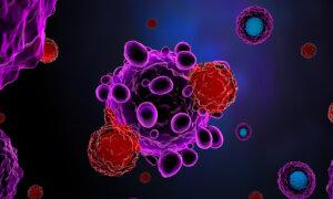 CAR T-Cell Cancer Therapy Potentially Linked to Rare Blood Cancer, Experts Respond