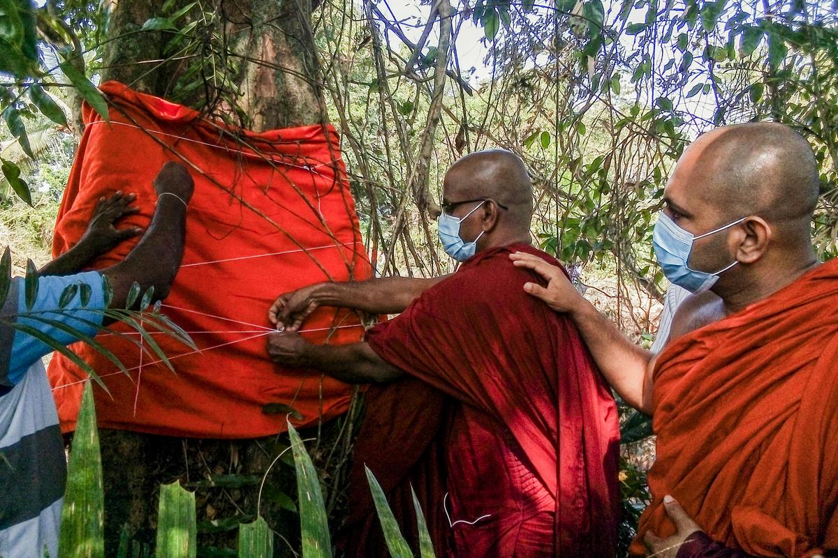 Buddhist monks tie a saffron robe around the trunk of a tree to symbolically ordain it in an attempt to stop it from being felled to make way for a motorway on the outskirts of Colombo, Sri Lanka, on Feb. 10, 2021. (-/AFP via Getty Images)