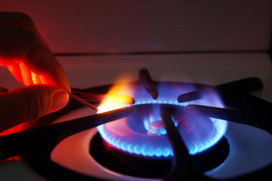 Energy Sector Calls on Government to Abolish Wholesale Gas Price Caps