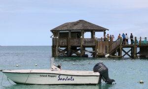 US Tourist From Boston Killed in Shark Attack in Bahamas, Police Say