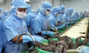Japan Shifts Seafood Processing Hub From China to Vietnam Amidst Fukushima Fallout