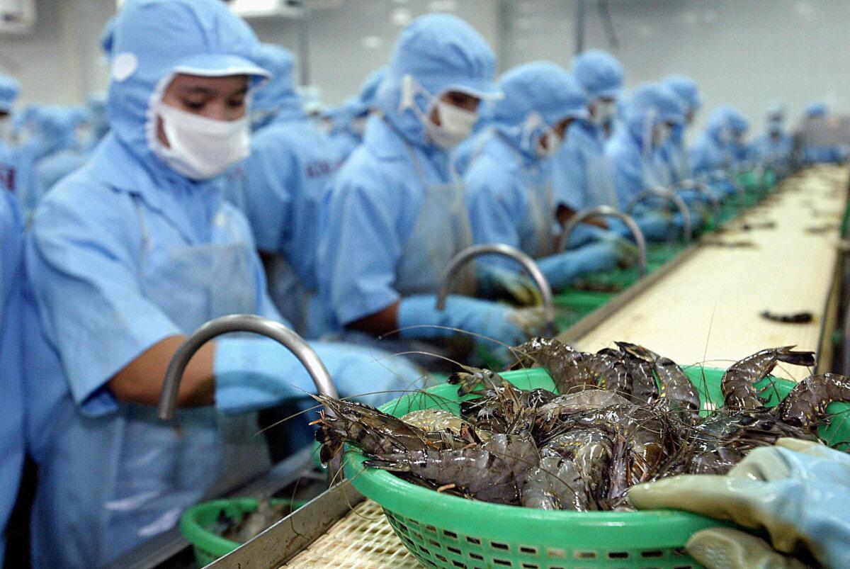 Japan Shifts Seafood Processing Hub From China to Vietnam Amidst Fukushima Fallout