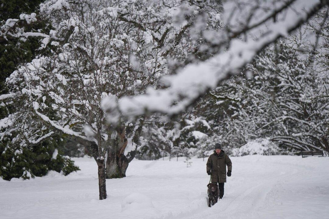 Weather System May Bring Snow to Parts of Metro Vancouver, Gusts to North BC Coast