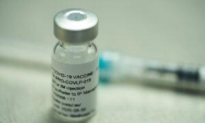 Feds Recover $40M of $323M Invested in Defunct Quebec Vaccine Developer