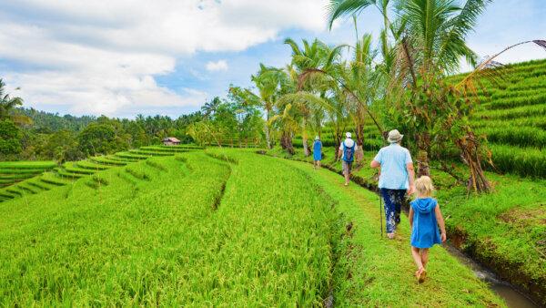 A family vacations together in Bali. (Denis Moscvinov/Dreamstime)