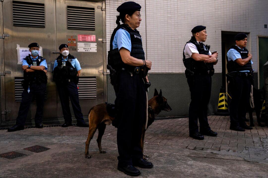 Overseas Group Pans Hong Kong Election for Violating Equal Suffrage Right