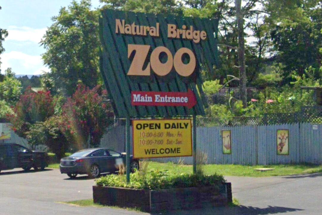 Dozens of Animals Taken From Virginia Roadside Zoo as Part of Investigation