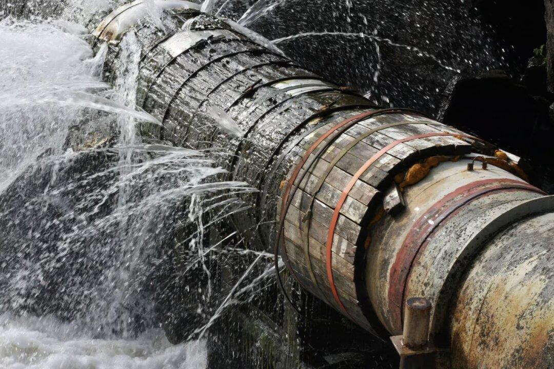 Did Cochrane’s Mask Study Get It Wrong?