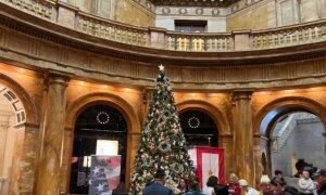 Massachusetts Gold Star Families Tree on Display at Massachusetts State House