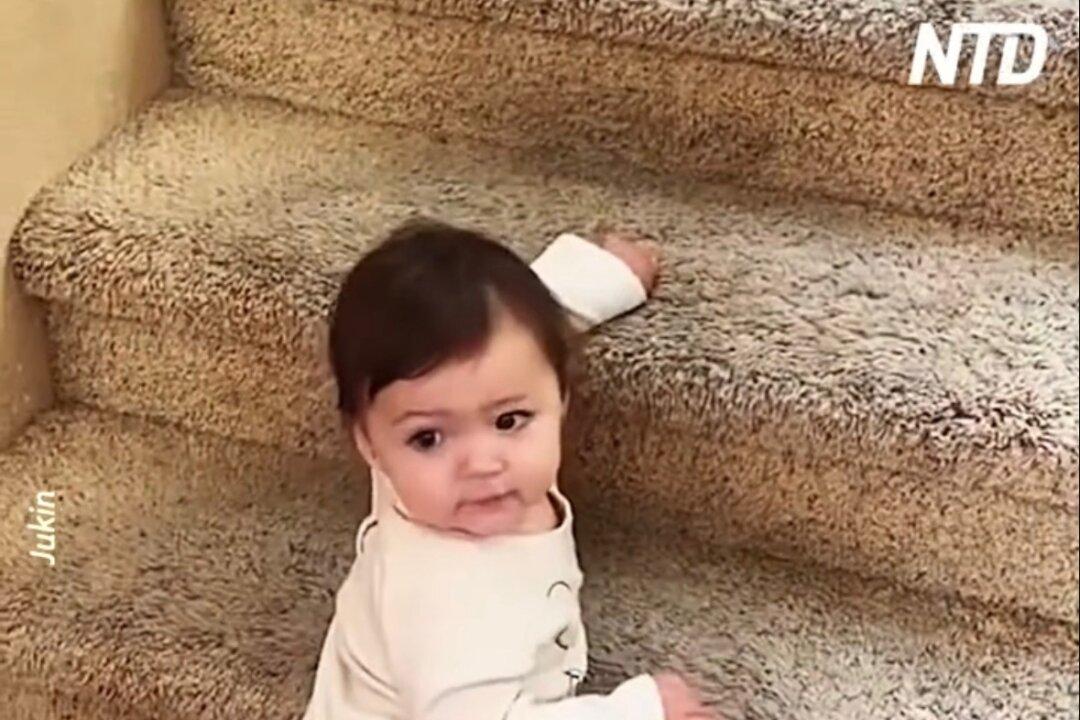 Toddler Descends Stairs in Reverse!