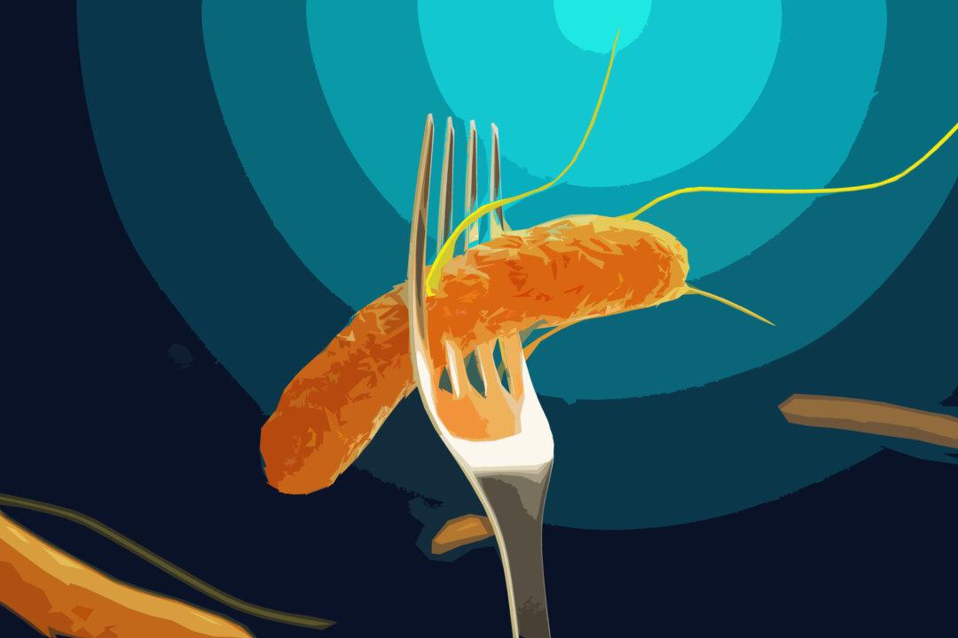 Salmonella: No. 1 Cause of Death in Everyday Food, Treatment Dilemmas