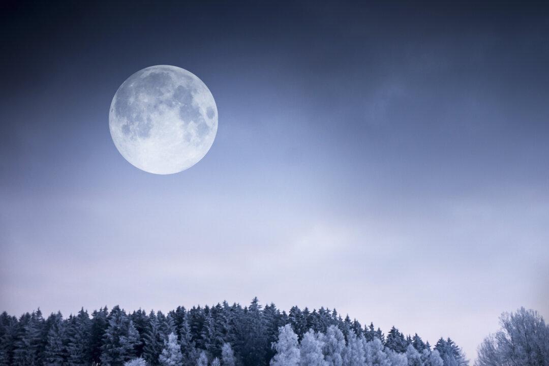 Full ‘Cold Moon’ Will Rise to the Top of the Sky Around Christmas—Here’s What You Need to Know