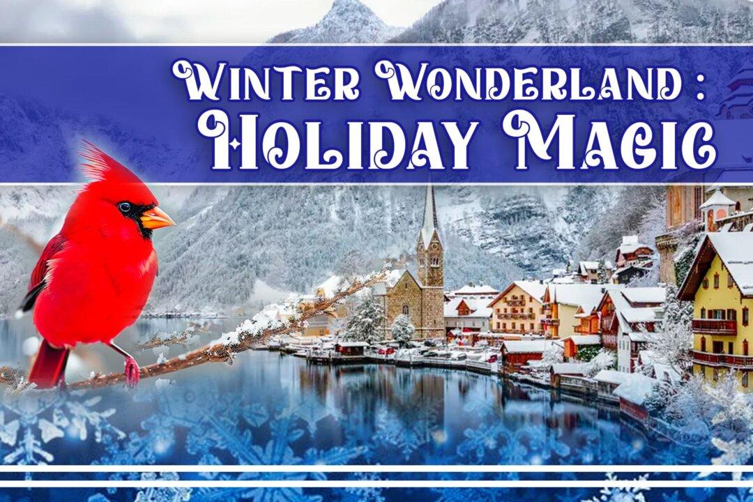 Winter Wonderland: Holiday Magic