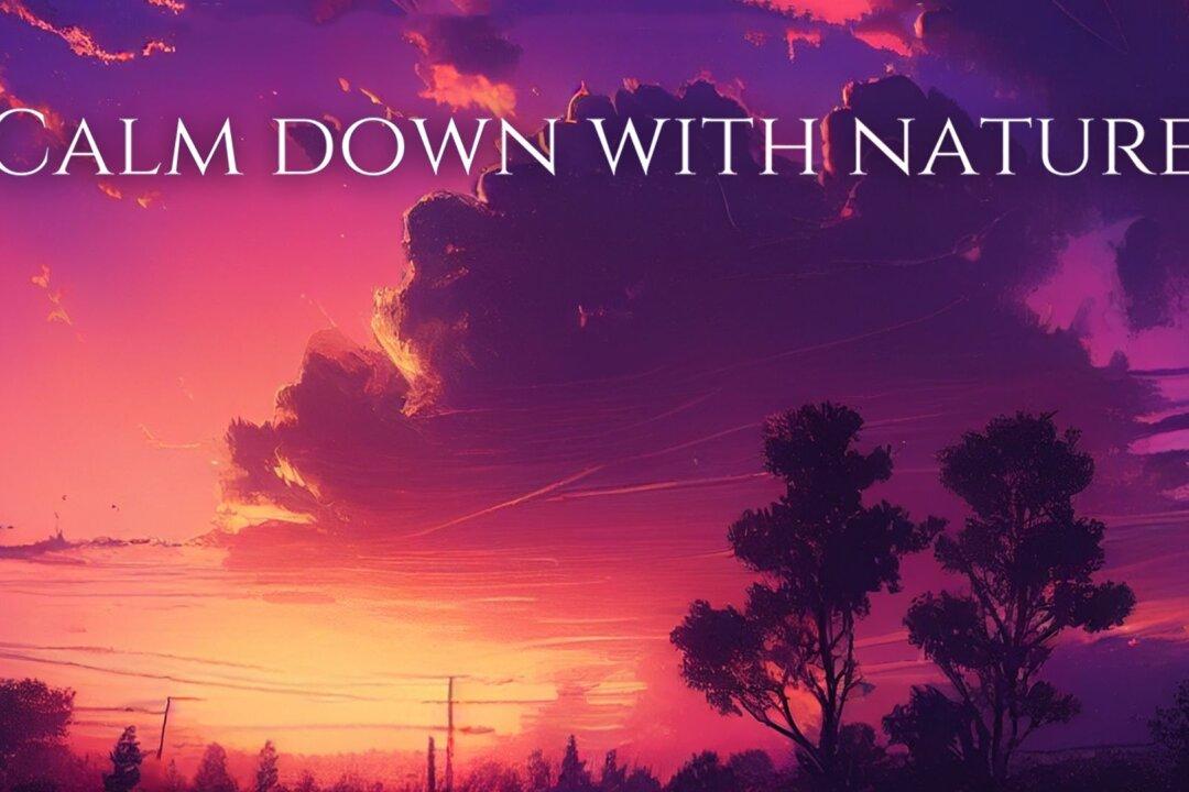 Calm Down With Nature