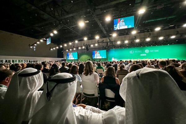 Participants attend a COP28 plenary session at the U.N. climate summit in Dubai on Dec. 13, 2023. (Giuseppe Cacace/AFP via Getty Images)
