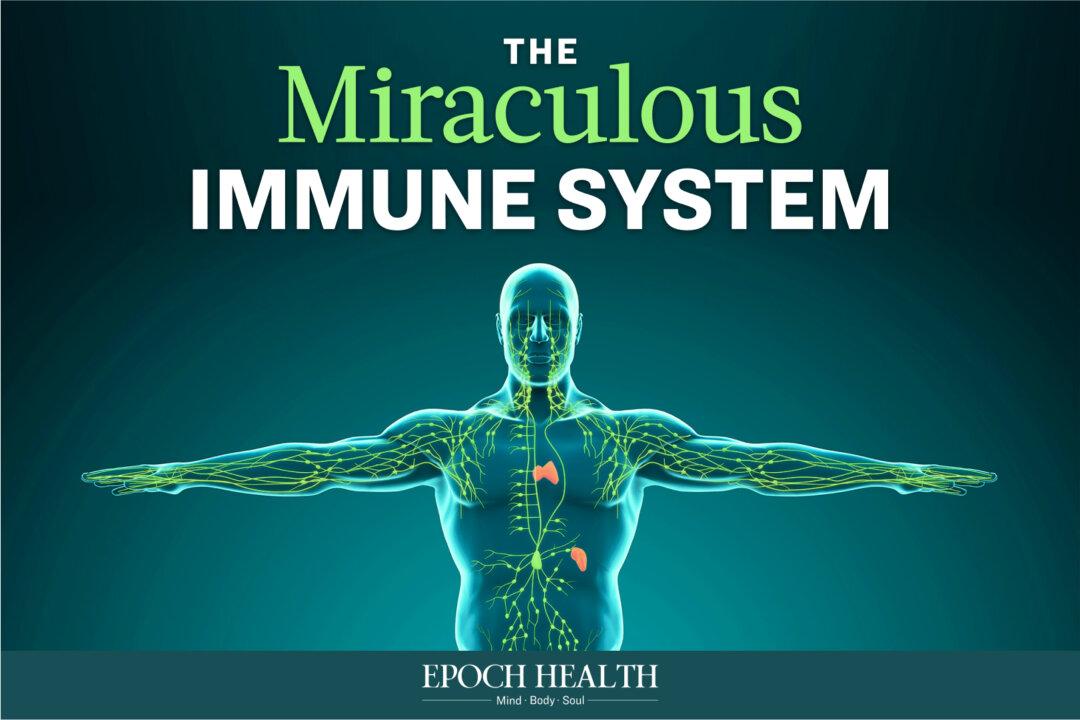 The Miraculous Immune System
