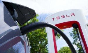 Transport Canada Says Tesla Recall Will Affect Roughly 193,000 Cars in Canada