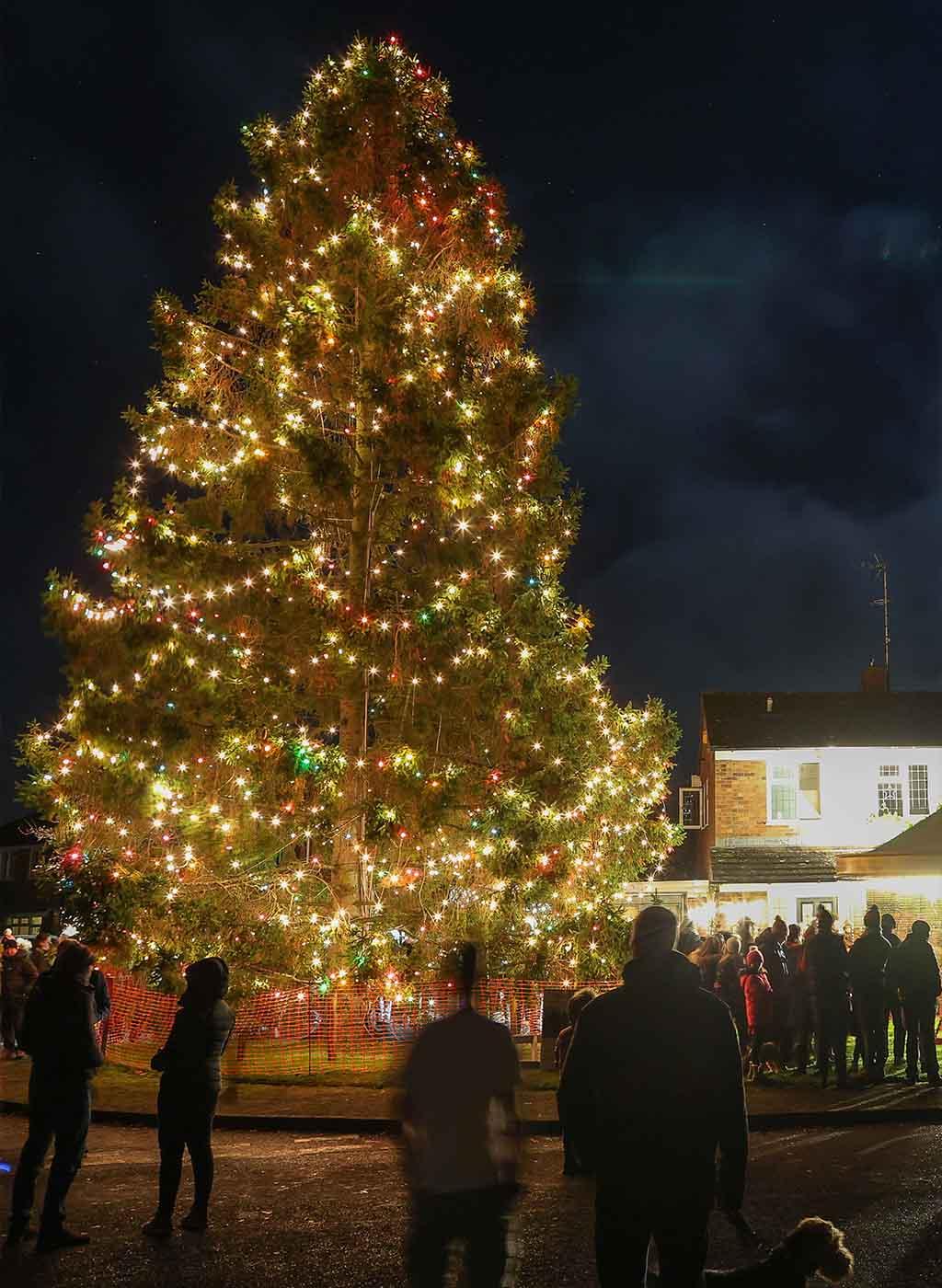 Locals gather around the Rowlands' Christmas tree. (SWNS)
