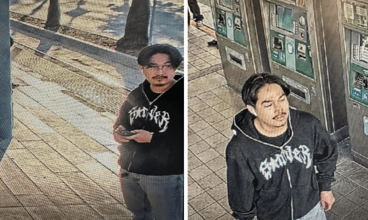 19-Year-Old Arrested in Fatal Stabbing on LA Metro Train