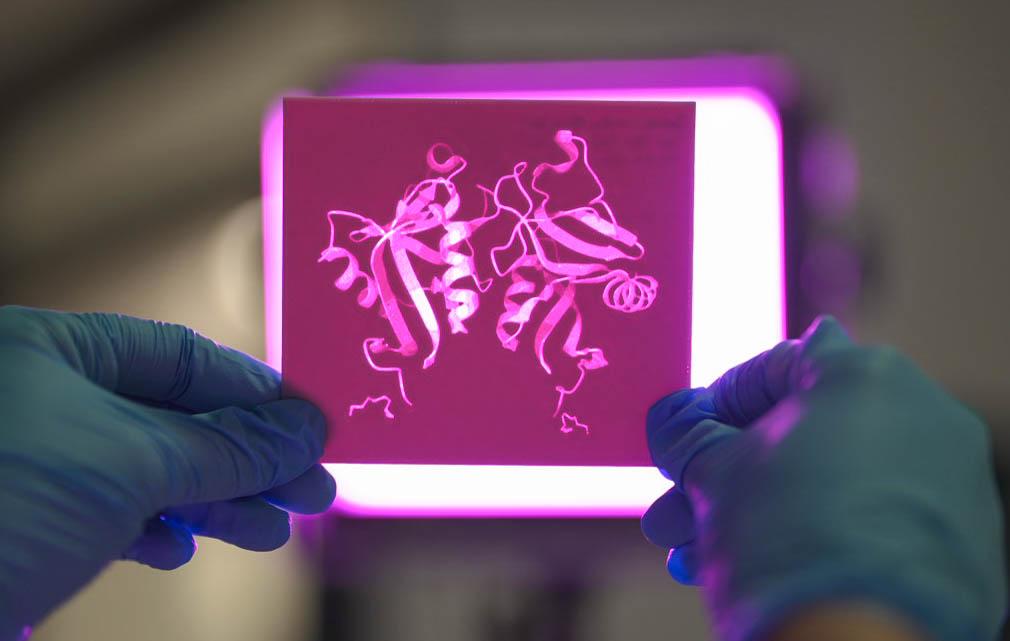 Protein Found to Manage Autoimmune Conditions and Potentially Target Cancer