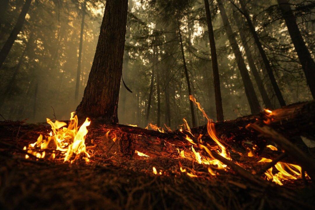 After Record Wildfire Season, Retaining Volunteer Firefighters Becomes a Priority With Calls for Better Tax Credits