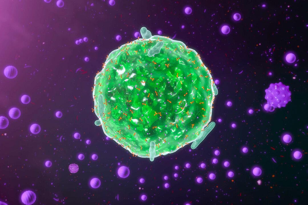 Mast Cell Activation Syndrome: A Mysterious Disease Often Missed, Here Are Solutions