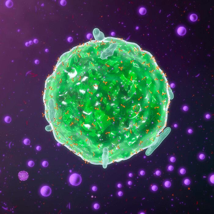 Mast Cell Activation Syndrome: A Mysterious Disease Often Missed, Here Are Solutions