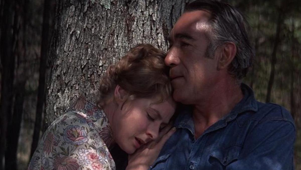 ‘A Walk in the Spring Rain’ (1970)