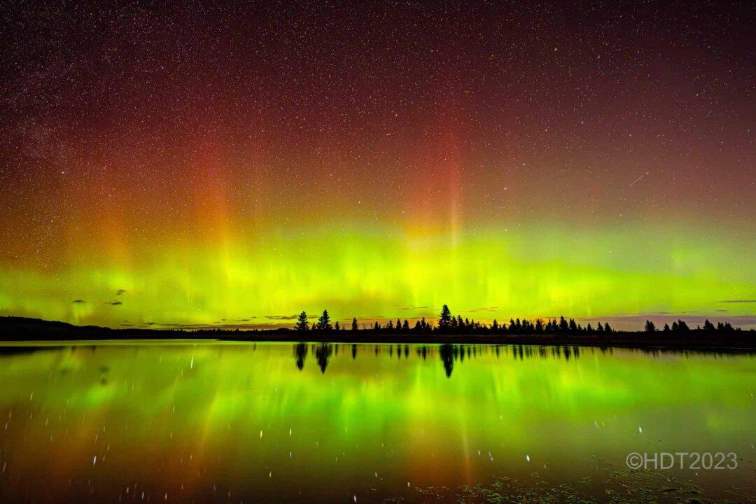 Photographer ‘In Complete Awe’ Captures Ultra-Rare Pumpkin-Orange Aurora Over Canadian Pond