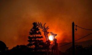 Homes Feared Lost in Large Bushfire in Victoria’s West