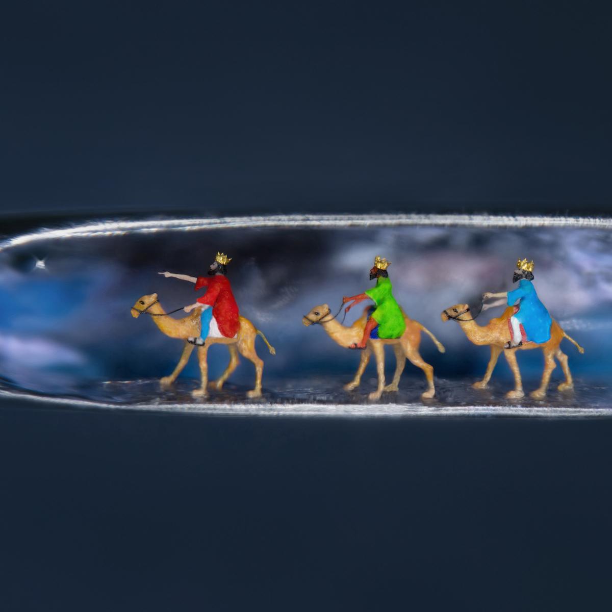 Mr. Wigan worked around 16 hours a day over four weeks to sculpt "The Three Little Kings" inside the eye of a needle. (Courtesy of Paul Ward Photography via Willard Wigan)