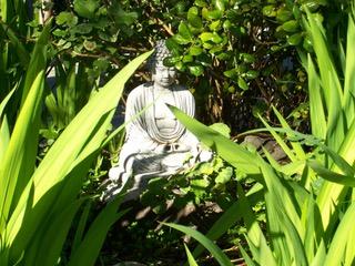 The original Buddha statue sitting on the ground with plants growing around it. (Courtesy of Dan Stevenson)
