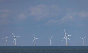 New Report Highlights Green Failure in Europe and Warns America